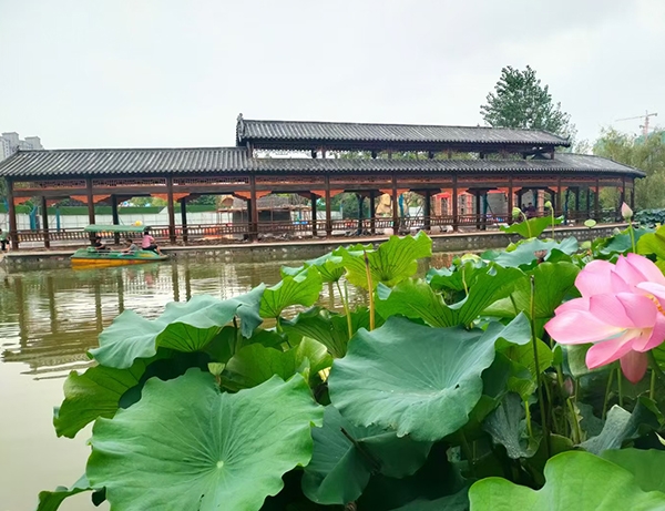 現代木結構建築在潮濕多雨的地方性能怎麽樣