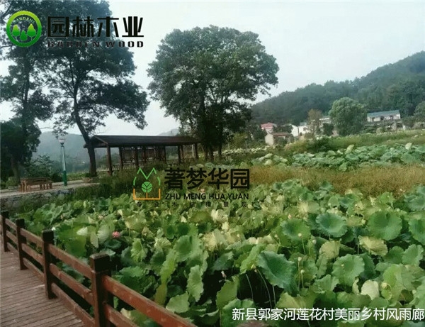 鄭州黄色网站老司机風雨廊